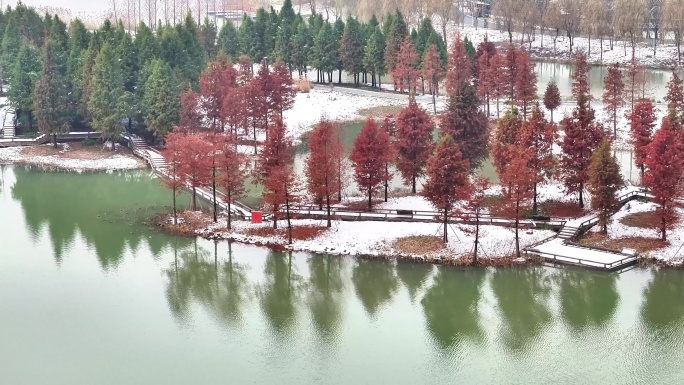 航拍湿地公园雪景树林湖岛木屋鸟类杉树木