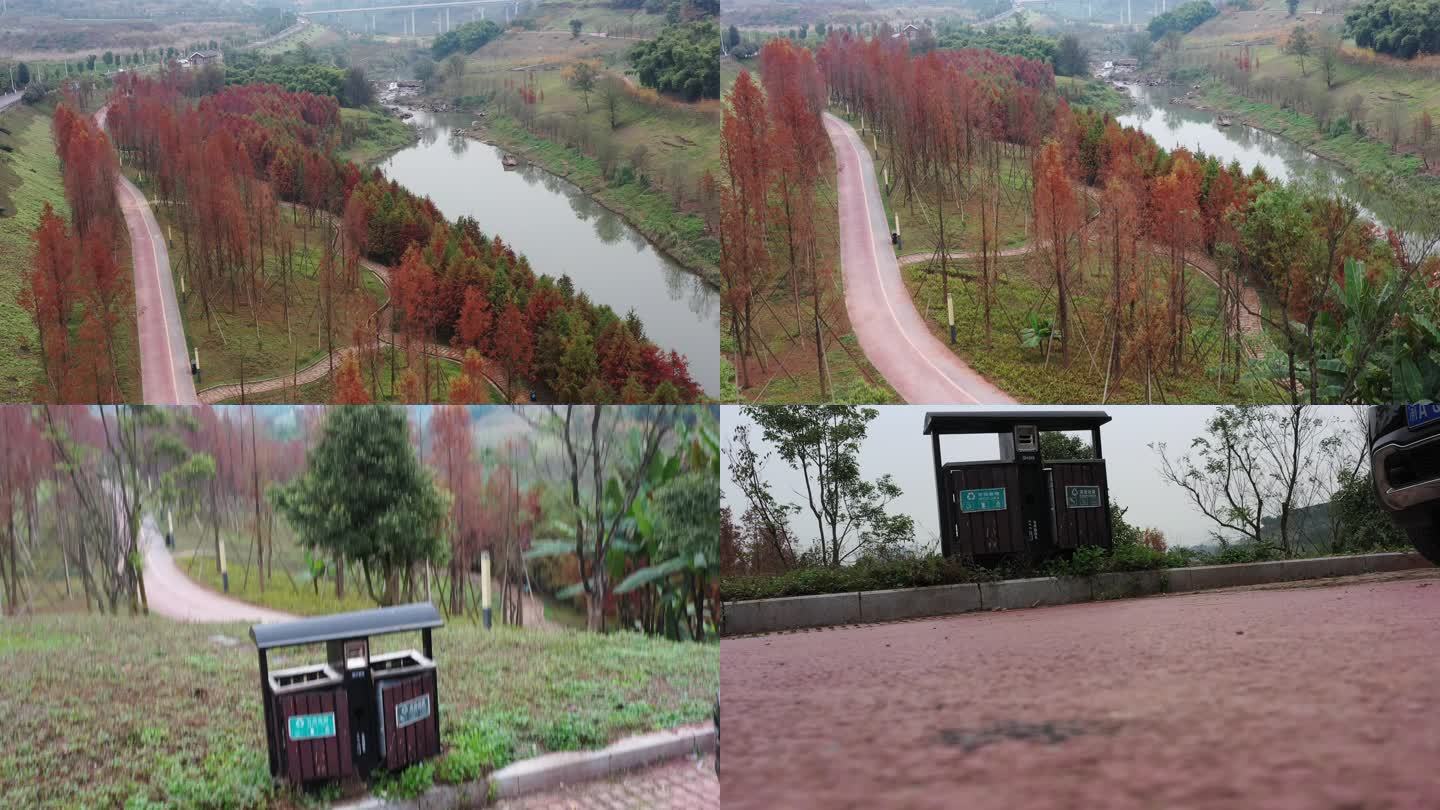 航拍重庆北碚水土竹溪河公园落雨杉森林风光