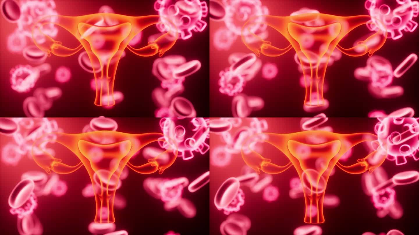 子宫与血细胞，医学生物学概念，3d渲染。