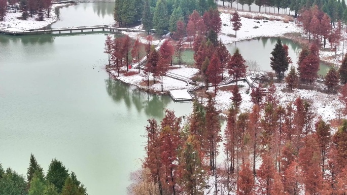 航拍湿地公园雪景树林湖岛木屋鸟类杉树木