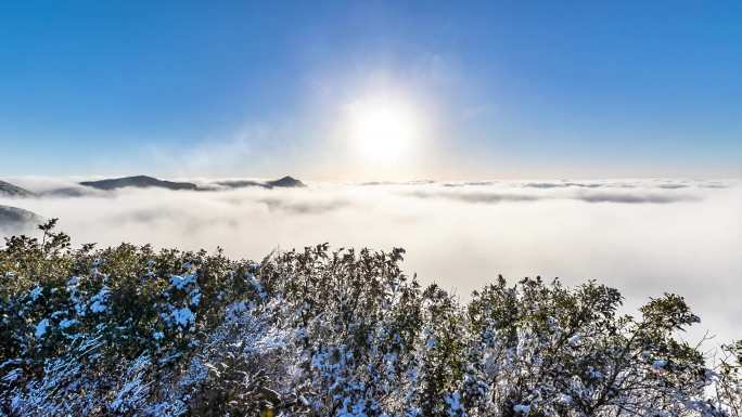 重庆南川：雪后金佛山绮丽风光