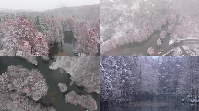 雪中燕雀湖