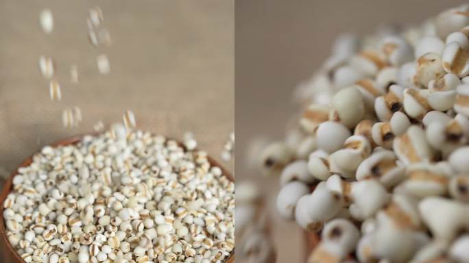 五谷杂粮 薏米竖版素材
