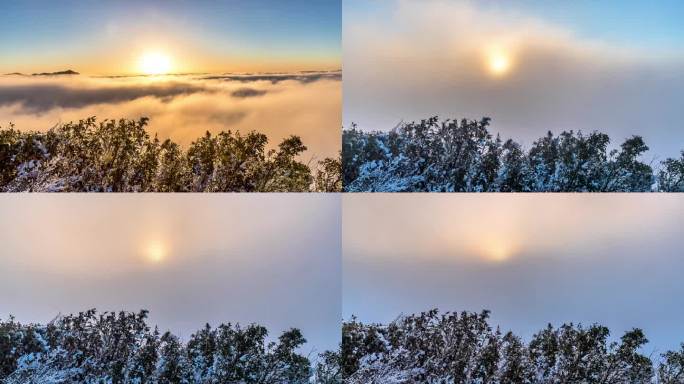 重庆南川：雪后金佛山绮丽风光