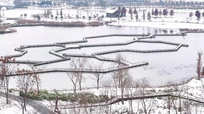 航拍湿地公园雪景树林湖岛木屋鸟类杉树木