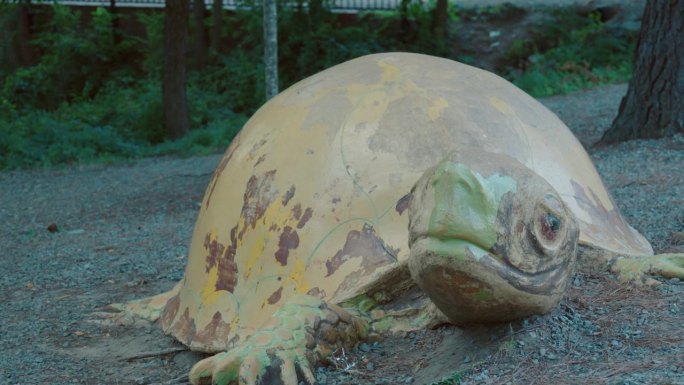 在北卡罗莱纳的一个公园里，围着一只巨大的生锈的钢铁乌龟转。这只乌龟被涂成绿色和黄色，栖息在北卡罗来纳