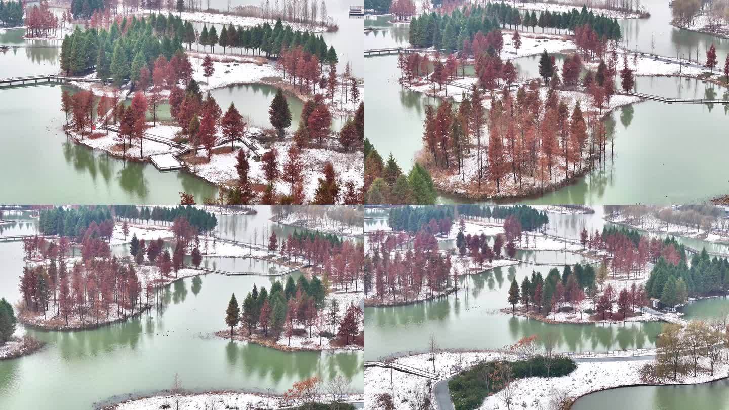 航拍湿地公园雪景树林湖岛木屋鸟类杉树木