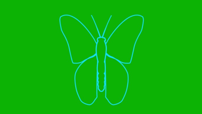 动画蓝蝴蝶扇动翅膀。线性符号。毛圈的视频。矢量插图隔离在绿色背景上。
