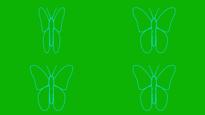 动画蓝蝴蝶扇动翅膀。线性符号。毛圈的视频。矢量插图隔离在绿色背景上。
