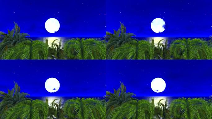 椰树大海动画场景04-夜景月亮