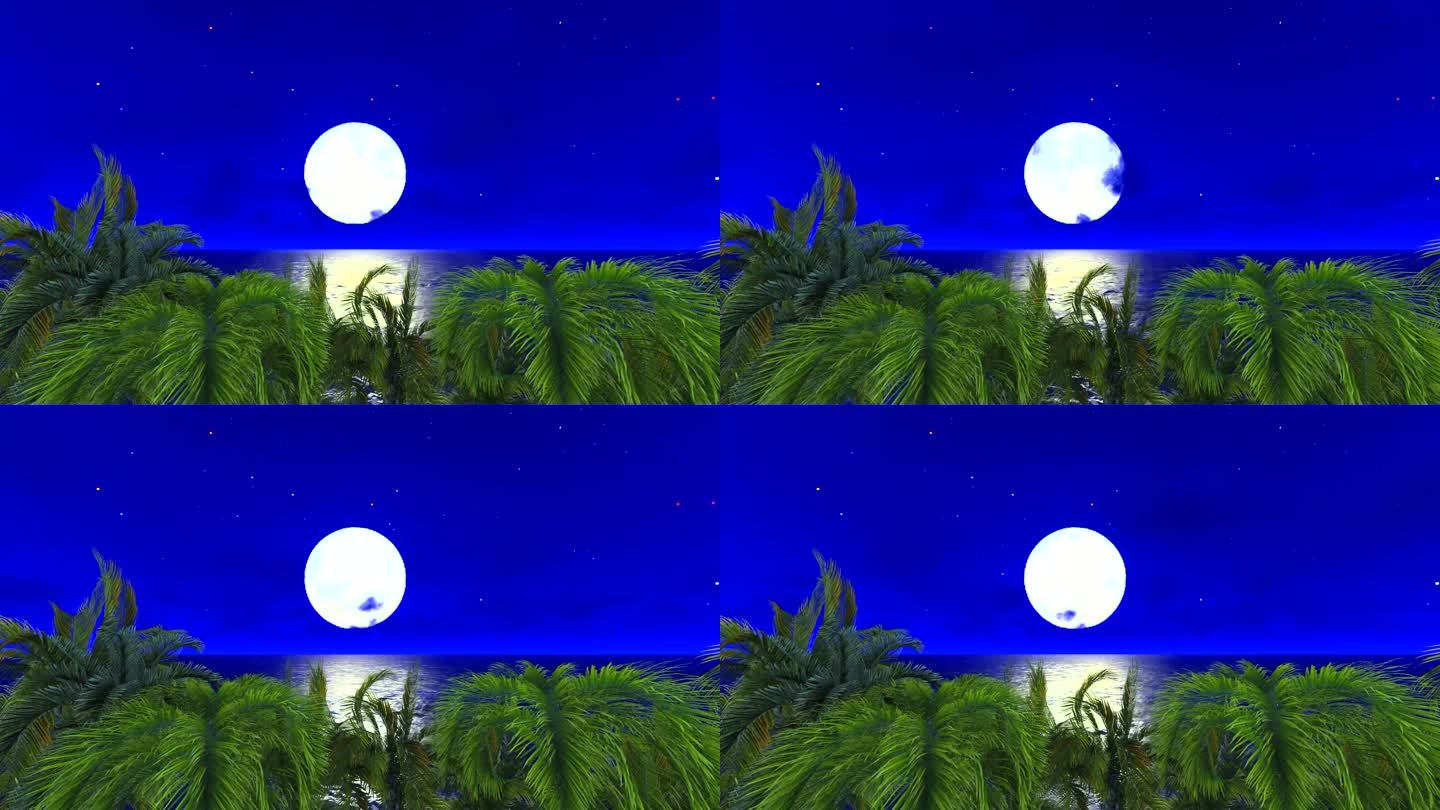 椰树大海动画场景04-夜景月亮