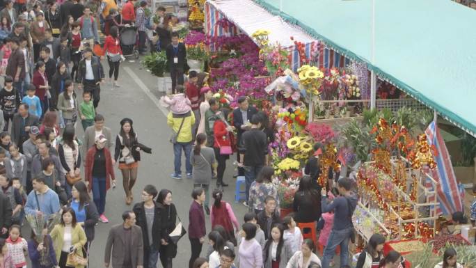 深圳 春节花市 花市花朵