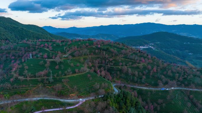 延时无量山樱花谷日出