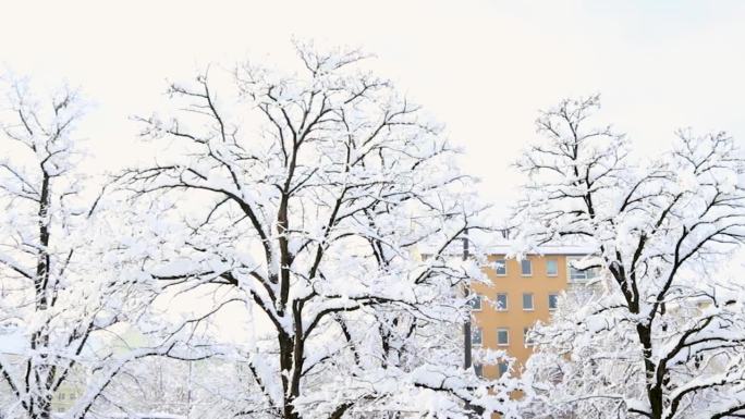 冬天的风景，白色的雪在街道和道路上。天气预报概念，降雪量，季节变化