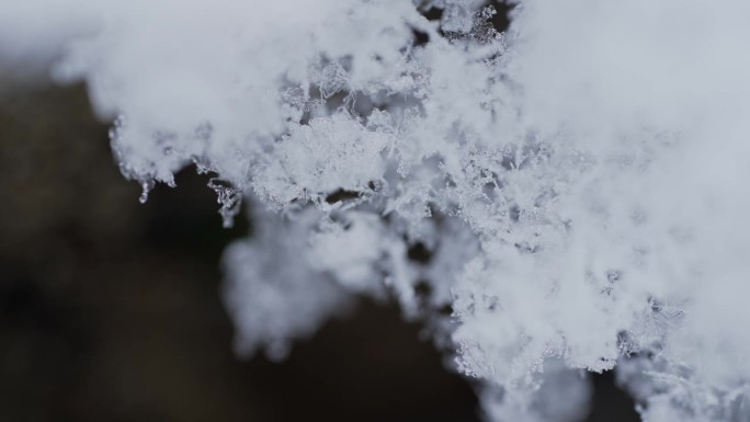 微距摄影:雪花融化的快进镜头