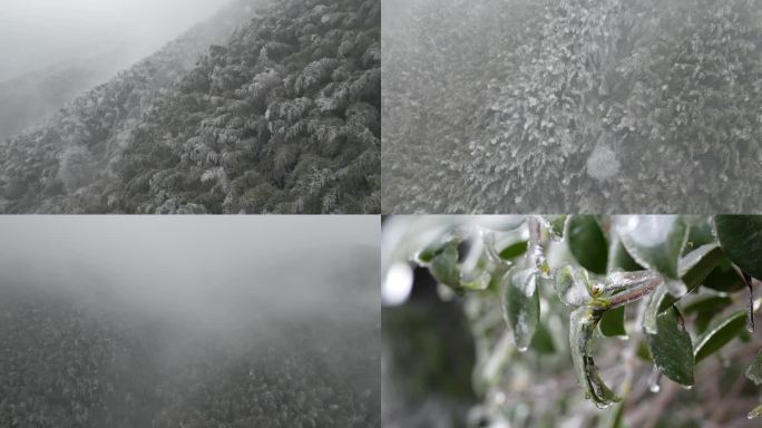 梅岭雪山冰冻竹林冰碴子