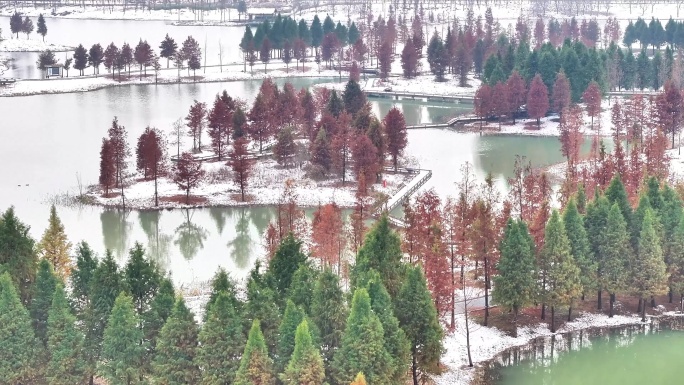 航拍湿地公园雪景树林湖岛木屋鸟类杉树木