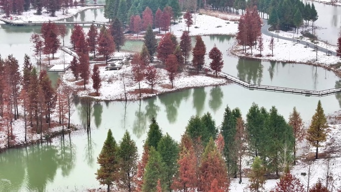 航拍湿地公园雪景树林湖岛木屋鸟类杉树木