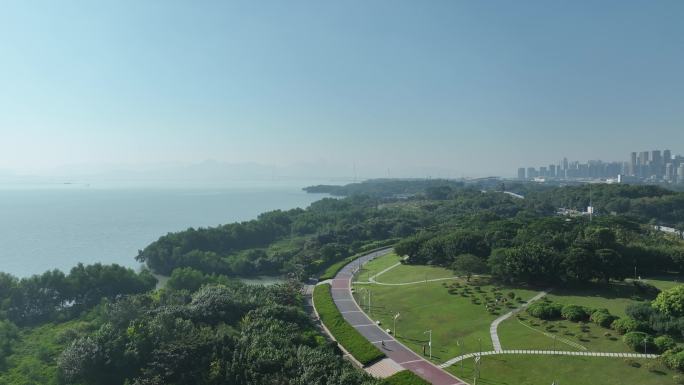 深圳湾公园航拍红树林海滨生态公园城市生态