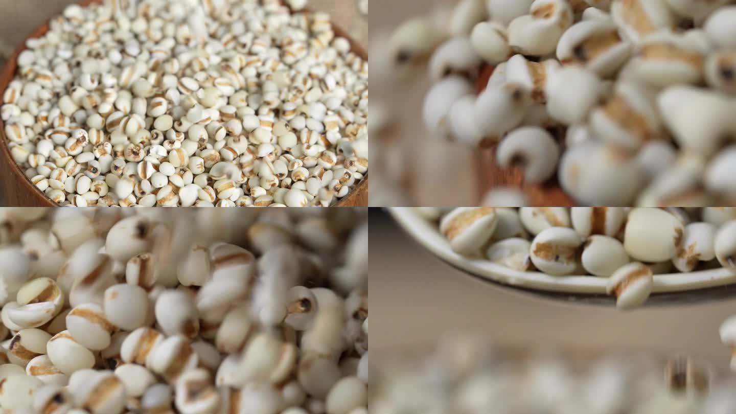 五谷杂粮 薏米横版素材