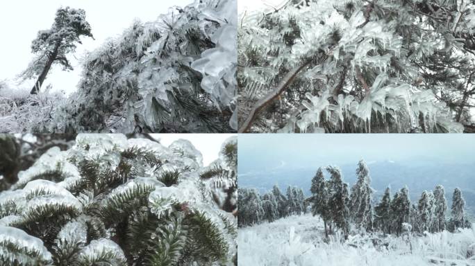 森林雾凇雪景冰雕素材视频
