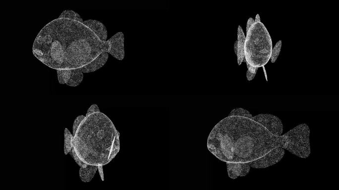 3D鲤鱼在黑色背景上旋转。水下生活概念。河下生物。商业广告背景。用于标题，文本，演示。3d动画60 