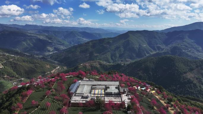 大理无量山樱花谷航拍