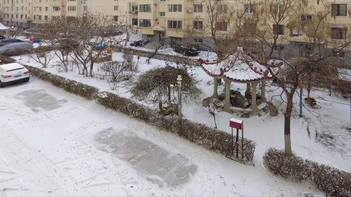 小区雪花飘飘