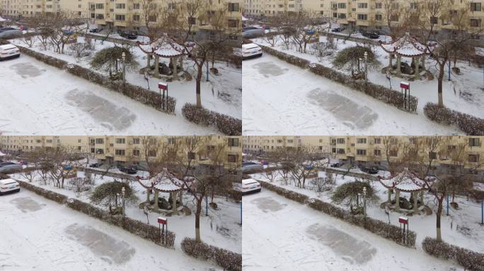 小区雪花飘飘