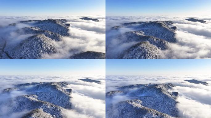 金佛山宛如仙境的雪山