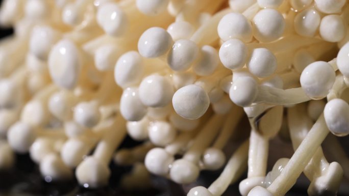 金针菇  菌菇