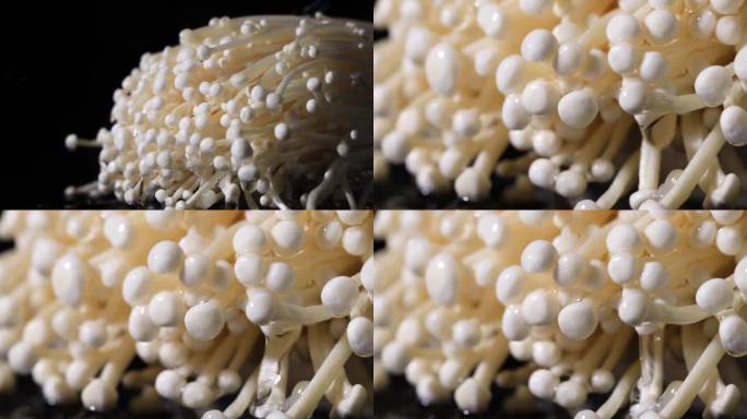 金针菇  菌菇