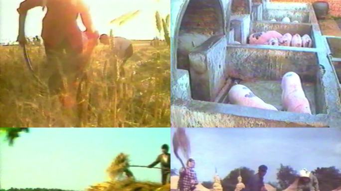 80年代农业 农民镜头 90年代农业