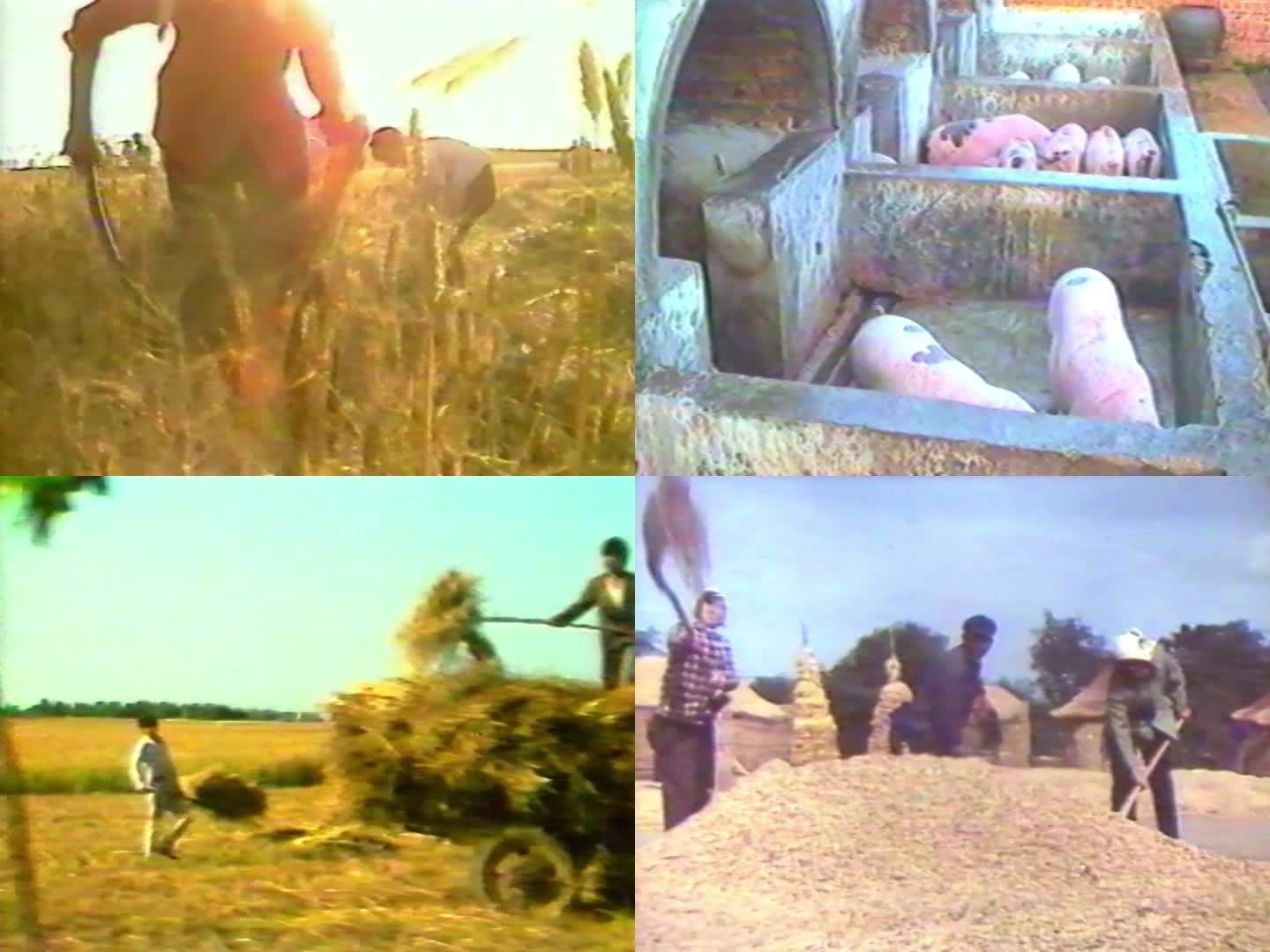 80年代农业 农民镜头 90年代农业
