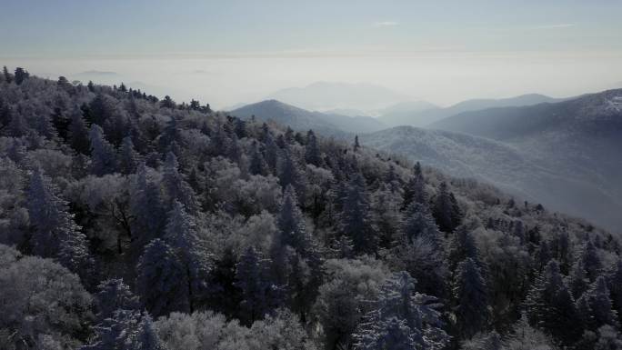 航拍雾凇森林风光全景