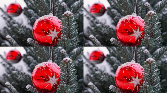 两个闪亮的红色球挂在一棵蓝色的冷杉树上，喜庆的圣诞概念