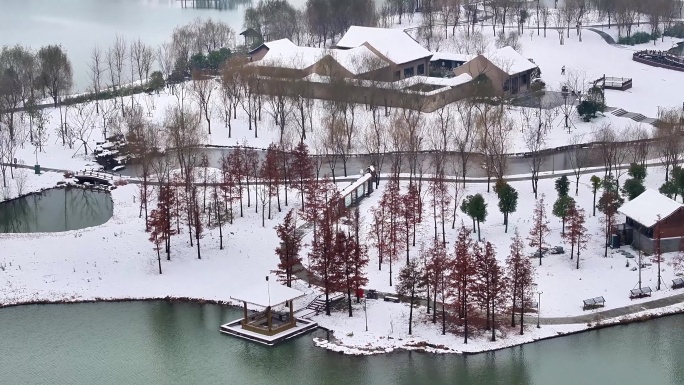 航拍湿地公园雪景树林湖岛木屋鸟类杉树木