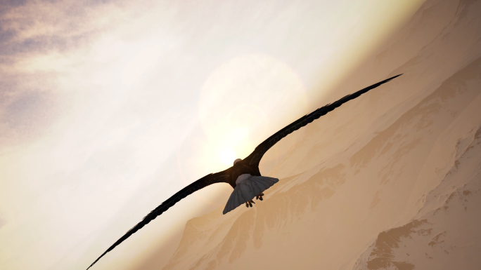 雄鹰飞跃雪山奋斗目标励志