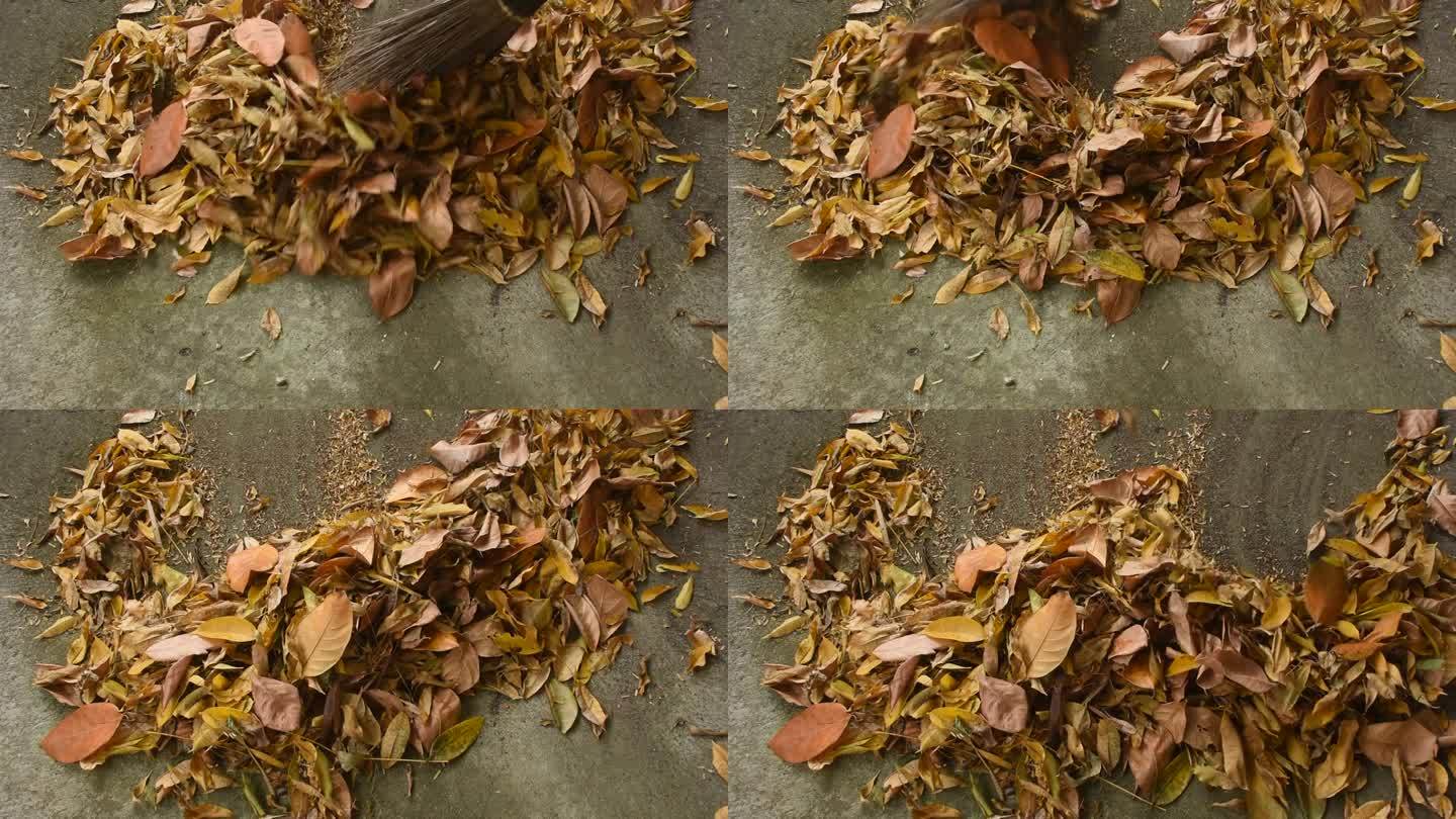 扫把扫干落叶从冬季水泥地面上的清洁