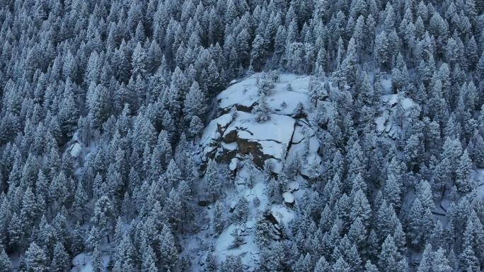 科罗拉多州圣诞节阴影冷蓝色落基山脉下雪下冰霜第一雪松树森林常绿莫里森丹佛山蓝天埃文斯电影空中无人机圈