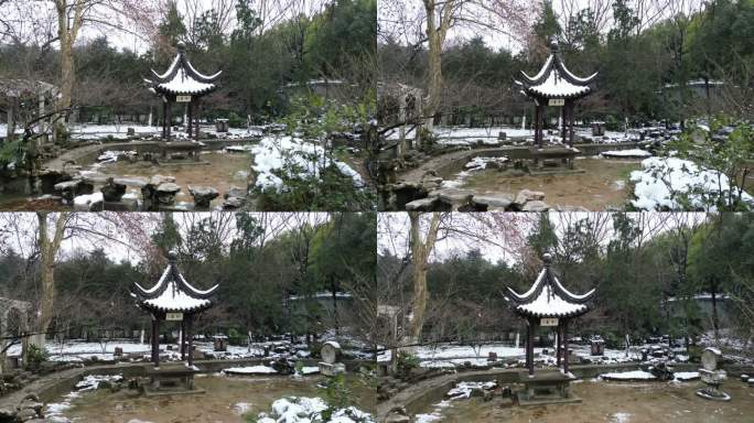 南山文苑雪景