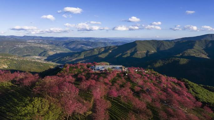 (延时）无量山樱花谷