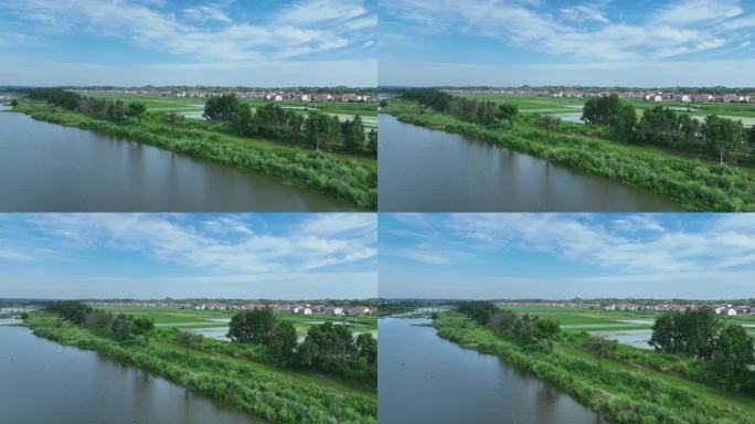 航拍河流湿地水稻稻田农村农业农田风景岳阳