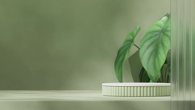 模型模板白色和绿色的讲台与无缝阴影动画循环的钙室内植物和玻璃，3d渲染素材