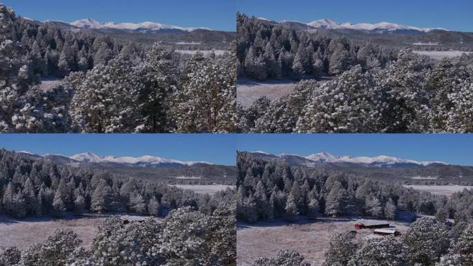 圣诞节的第一场雪常青树前山脉丹佛山蓝天埃文斯航拍电影无人机清脆寒冷的早晨美丽的蓝天霜松树揭示了潘向上