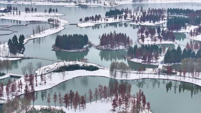 航拍湿地公园雪景树林湖岛木屋鸟类杉树木