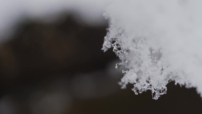 微距摄影:雪花融化的快进镜头