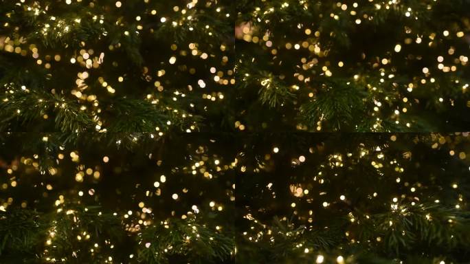 花环，灯泡，圣诞树上的灯