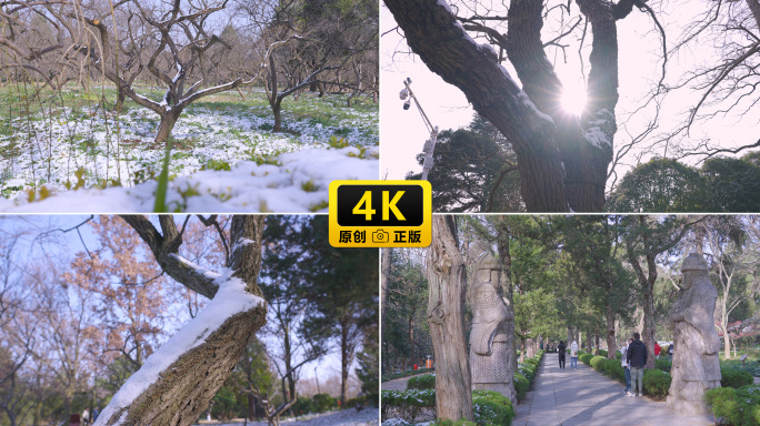 实拍·明孝陵雪景