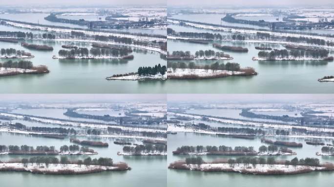 航拍湿地公园雪景树林湖岛木屋鸟类杉树木